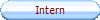 Intern